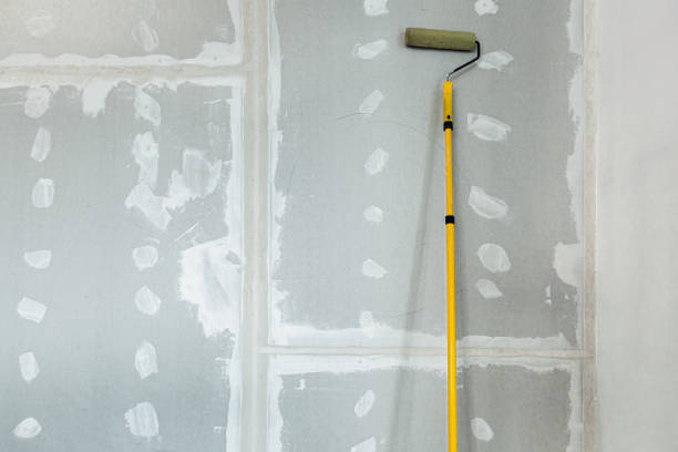 Best Drywall Sanding and Smoothing  in Fair Plain, MI